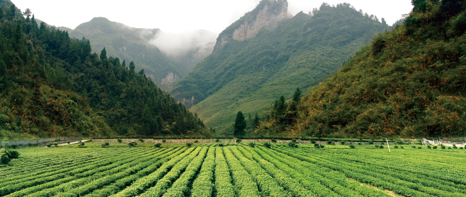 首页| G22恒峰集团中国官方网站