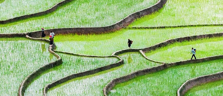 首页| G22恒峰集团中国官方网站