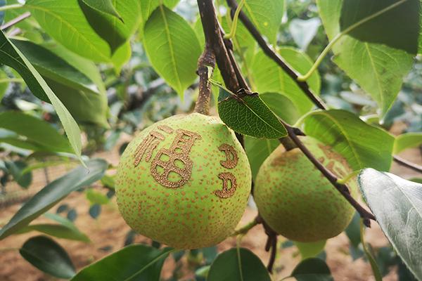 首页| G22恒峰集团中国官方网站